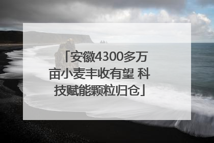 安徽4300多万亩小麦丰收有望 科技赋能颗粒归仓