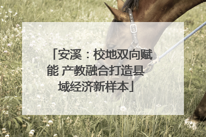 安溪：校地双向赋能 产教融合打造县域经济新样本