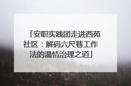 安职实践团走进西苑社区：解码六尺巷工作法的温情治理之道