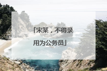 宋某，不得录用为公务员