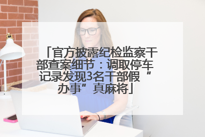 官方披露纪检监察干部查案细节：调取停车记录发现3名干部假“办事”真麻将