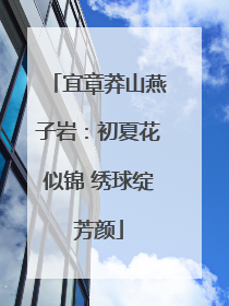 宜章莽山燕子岩：初夏花似锦 绣球绽芳颜