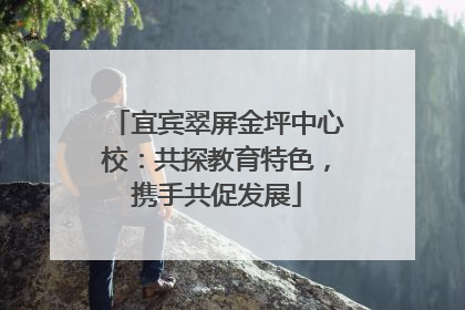 宜宾翠屏金坪中心校：共探教育特色，携手共促发展