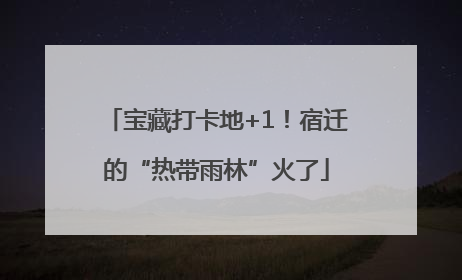 宝藏打卡地+1！宿迁的“热带雨林”火了