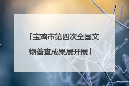 宝鸡市第四次全国文物普查成果展开展