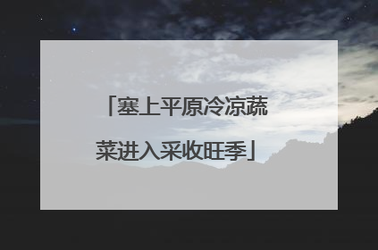 塞上平原冷凉蔬菜进入采收旺季