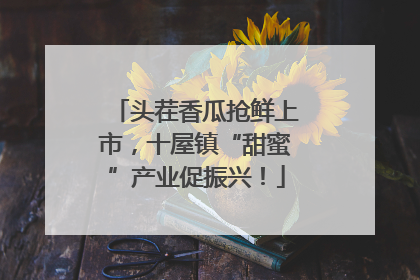 头茬香瓜抢鲜上市，十屋镇“甜蜜”产业促振兴！