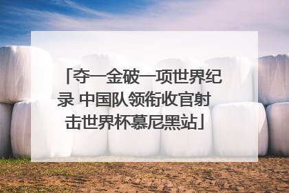 夺一金破一项世界纪录 中国队领衔收官射击世界杯慕尼黑站