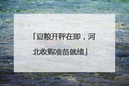 夏粮开秤在即，河北收购准备就绪