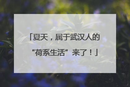 夏天，属于武汉人的“荷系生活”来了！