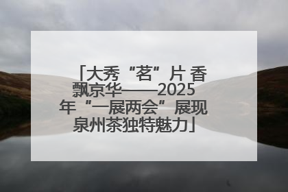 大秀“茗”片 香飘京华——2025年“一展两会”展现泉州茶独特魅力