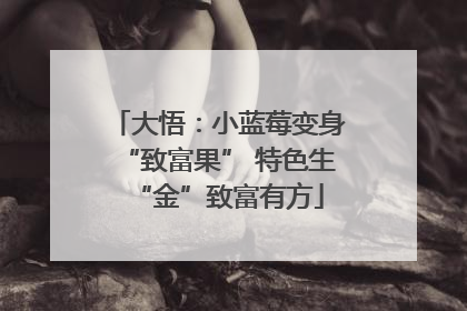 大悟：小蓝莓变身“致富果” 特色生“金”致富有方