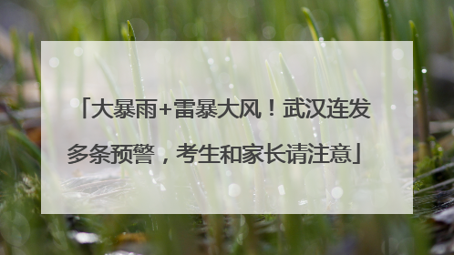 大暴雨+雷暴大风！武汉连发多条预警，考生和家长请注意