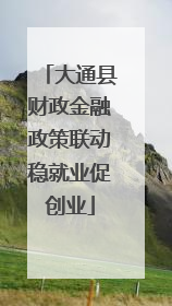 大通县财政金融政策联动稳就业促创业