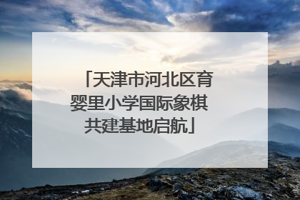 天津市河北区育婴里小学国际象棋共建基地启航