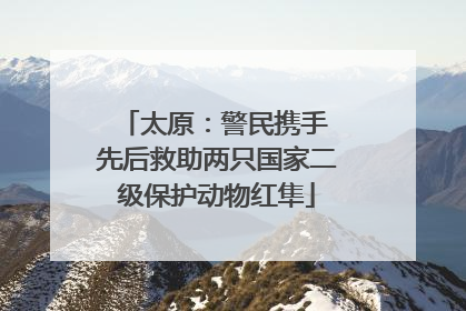 太原：警民携手 先后救助两只国家二级保护动物红隼