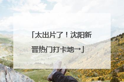 太出片了！沈阳新晋热门打卡地→