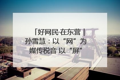 好网民·在东营｜孙雪慧：以“网”为媒传税音 以“屏”为介助发展