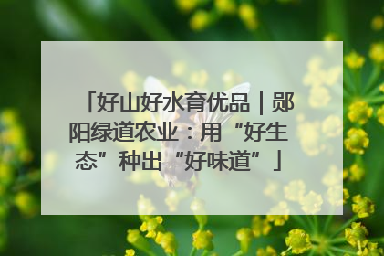 好山好水育优品｜郧阳绿道农业：用“好生态”种出“好味道”