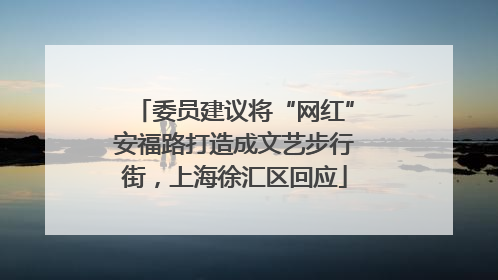 委员建议将“网红”安福路打造成文艺步行街，上海徐汇区回应