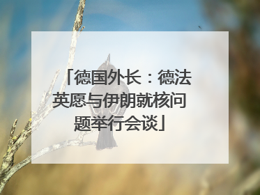德国外长：德法英愿与伊朗就核问题举行会谈