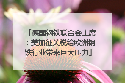 德国钢铁联合会主席：美加征关税给欧洲钢铁行业带来巨大压力