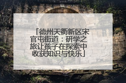 德州天衢新区宋官屯街道：研学之旅让孩子在探索中收获知识与快乐