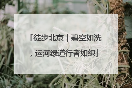 徒步北京｜碧空如洗，运河绿道行者如织