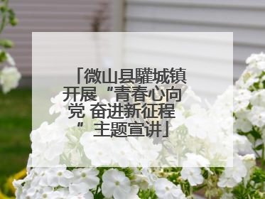 微山县驩城镇开展“青春心向党 奋进新征程”主题宣讲