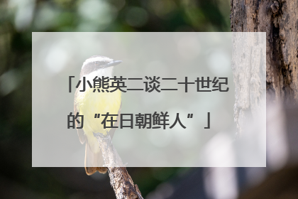 小熊英二谈二十世纪的“在日朝鲜人”