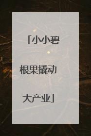 小小碧根果撬动大产业