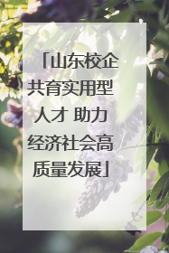 山东校企共育实用型人才 助力经济社会高质量发展