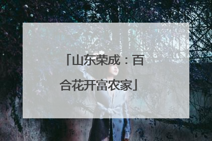 山东荣成：百合花开富农家