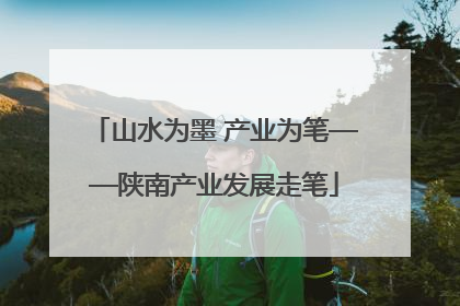 山水为墨 产业为笔——陕南产业发展走笔