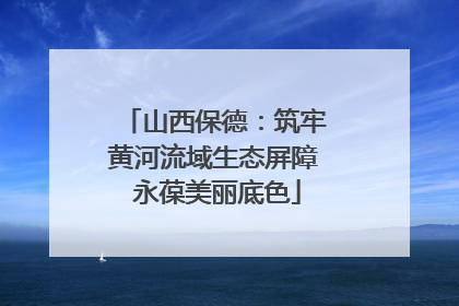 山西保德：筑牢黄河流域生态屏障 永葆美丽底色