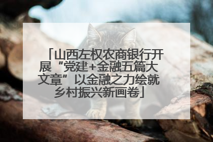山西左权农商银行开展“党建+金融五篇大文章”以金融之力绘就乡村振兴新画卷