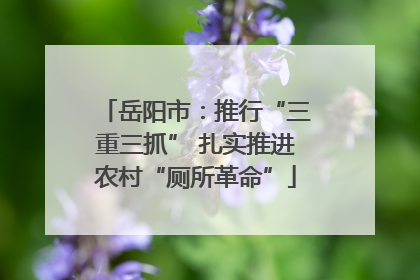 岳阳市：推行“三重三抓” 扎实推进农村“厕所革命”
