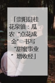 崇阳县桂花泉镇：瓜农“点花成金” 书写“甜蜜事业”增收经