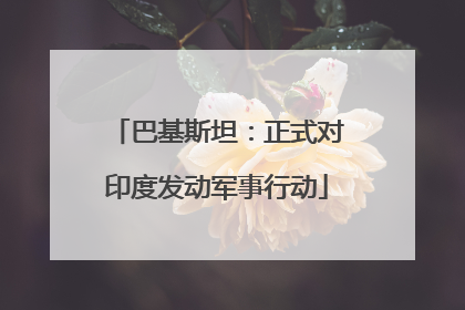巴基斯坦：正式对印度发动军事行动