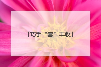 巧手“套”丰收