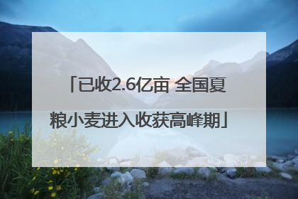 已收2.6亿亩 全国夏粮小麦进入收获高峰期