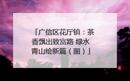 广信区花厅镇：茶香飘出致富路 绿水青山绘新篇（图）