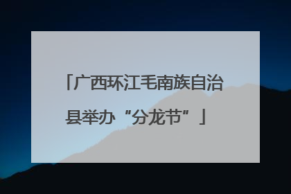 广西环江毛南族自治县举办“分龙节”