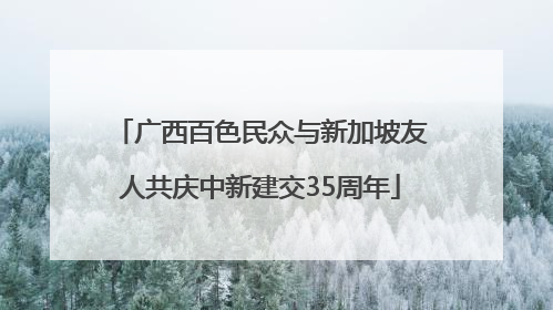 广西百色民众与新加坡友人共庆中新建交35周年