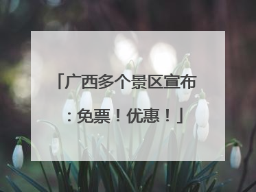 广西多个景区宣布：免票！优惠！
