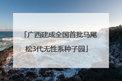 广西建成全国首批马尾松3代无性系种子园
