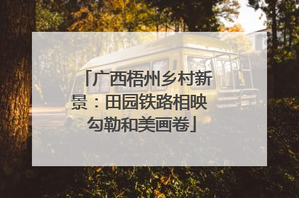 广西梧州乡村新景：田园铁路相映 勾勒和美画卷