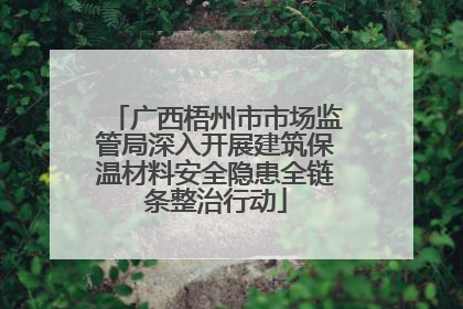广西梧州市市场监管局深入开展建筑保温材料安全隐患全链条整治行动