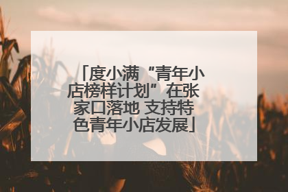 度小满“青年小店榜样计划”在张家口落地 支持特色青年小店发展