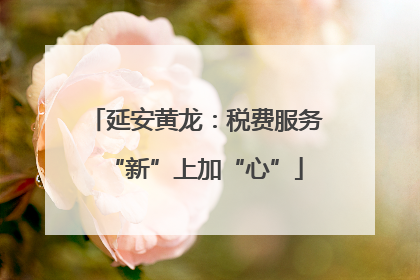 延安黄龙：税费服务“新”上加“心”